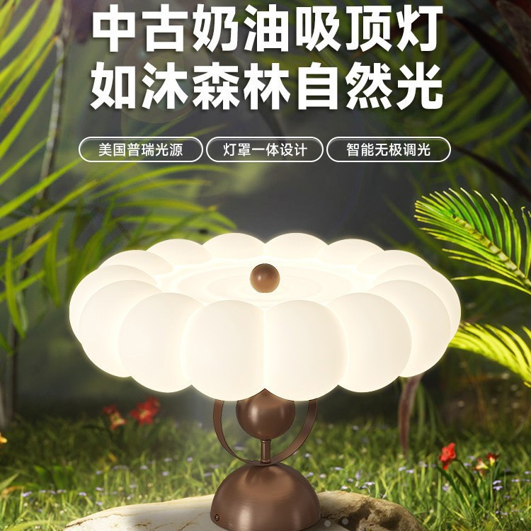 Wabi-sabi style bedroom ceiling lamp, antique cream style master bedroom, American-style led Chinese trend designer study lamp Specification image