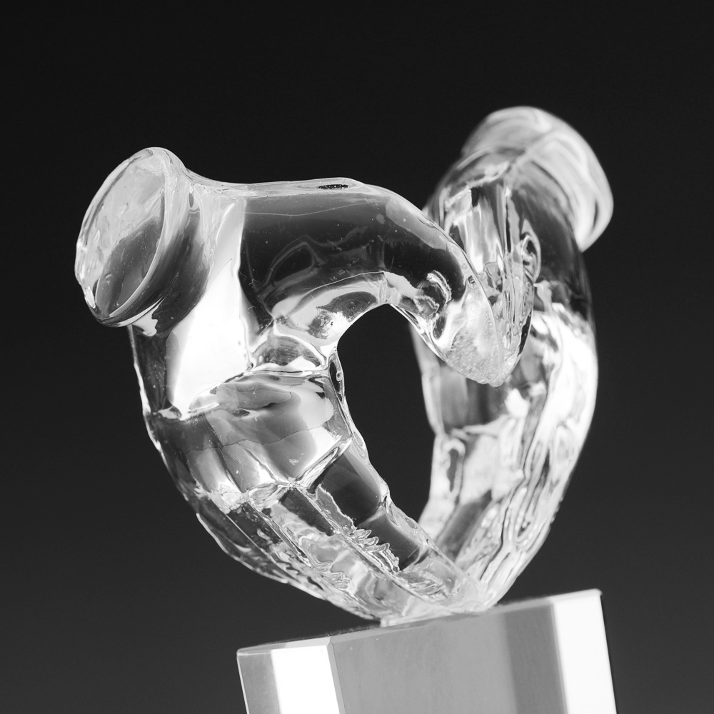 Crystal Glass "Guardian Hand" Crystal Trophy Annual Meeting Reward Competition Event Outstanding Employee Trophy Application Scenario