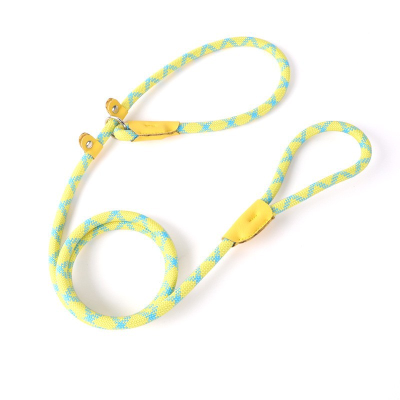 New cross-border pet leash for medium and large-sized dogs, universal safety dog chain, P-chain anti-loss dog walking leash Application Scenario