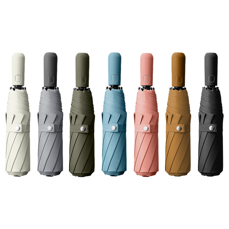 import白底实物图