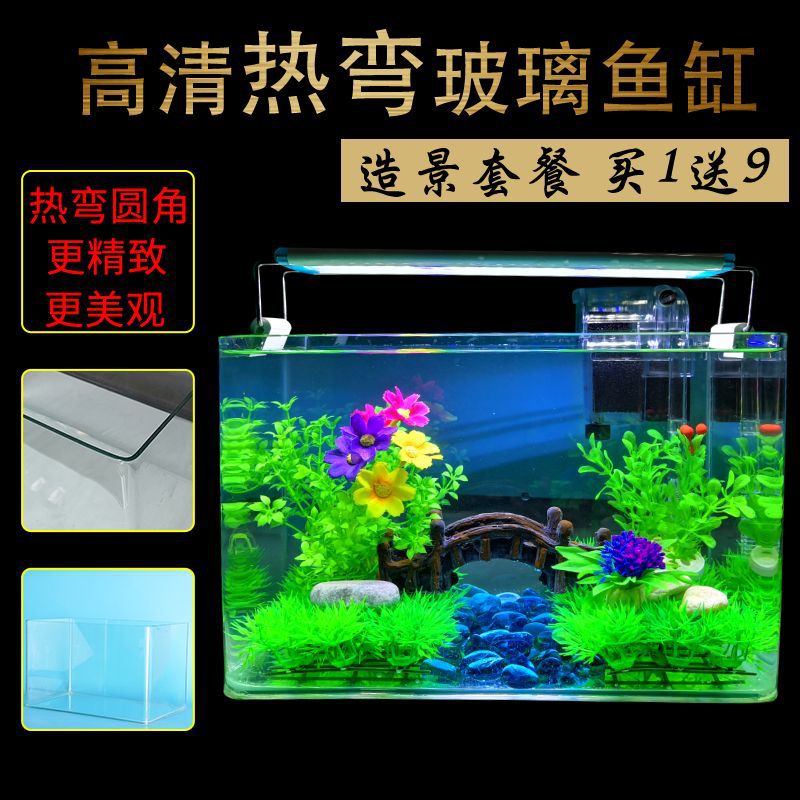 import白底实物图