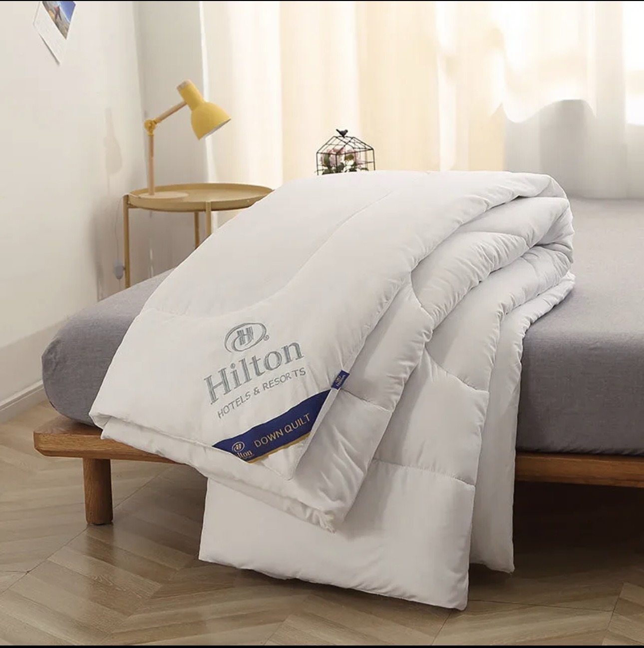 Wholesale of genuine Hilton Yilin silk quilt core quilts, spring and autumn quilts, hotel and guesthouse student dormitory gift quilts Application Scenario