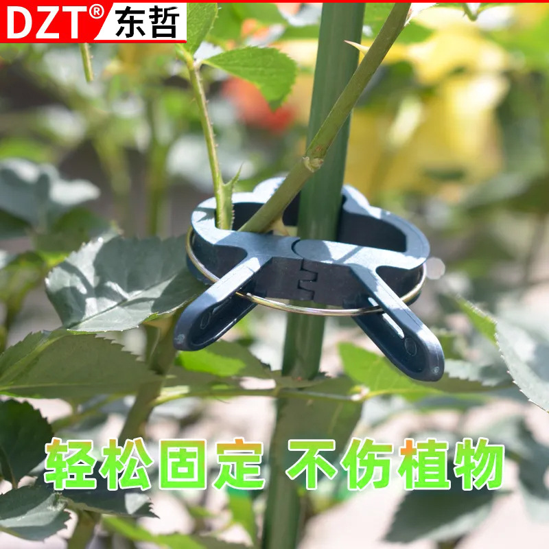 跨境绿色园林夹20pcs番茄花卉花园亚马逊塑料植物固定夹园艺夹子