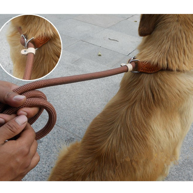 Hot-selling anti-riot P-chain leash, nylon sewn leather pet dog leash, extended and thickened dog leash, training dog leash, P-leash Specification image