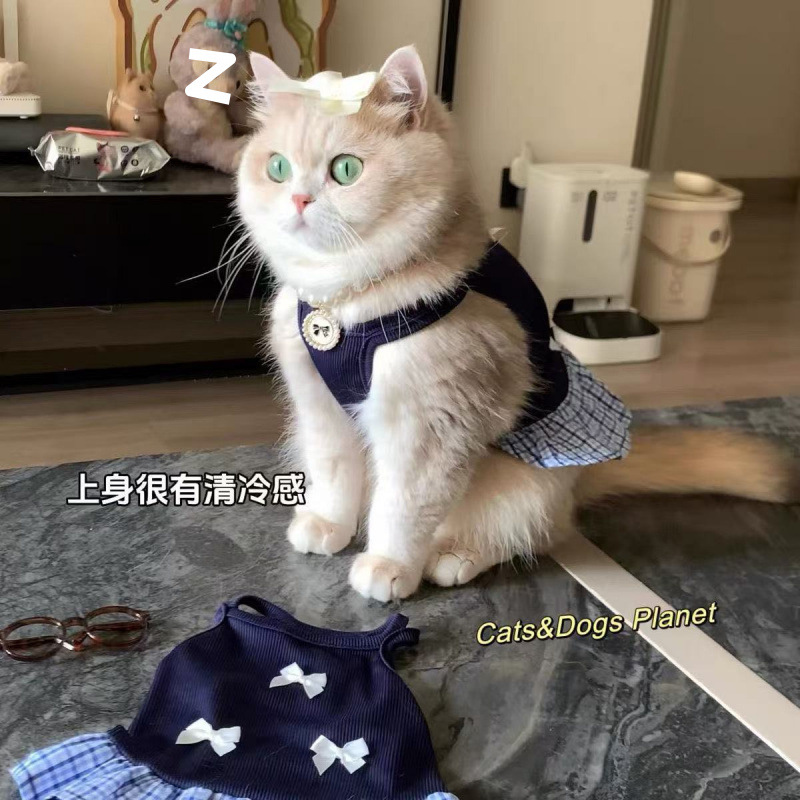 狗狗服装实物图
