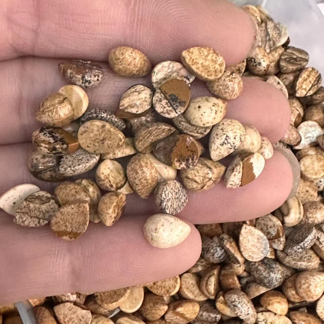 4x6 natural glitter stone water drop ring face DIY patch half-sided bead accessories wholesale necklace, AliExpress bestseller Specification image