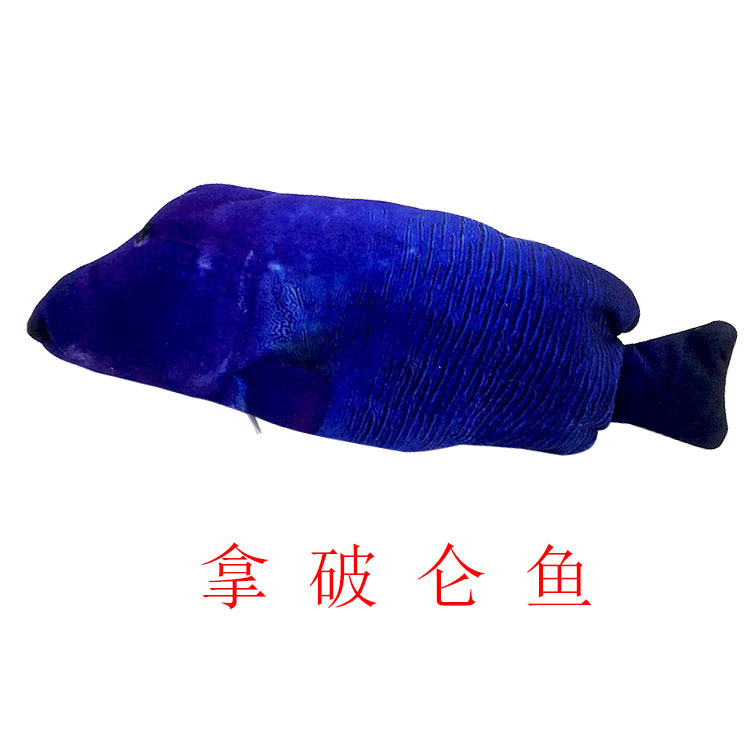 Douyin's same style electric fish simulation fish to play with cats, a jumping fish to play with cats pet toy, usb charging, a popular online fish