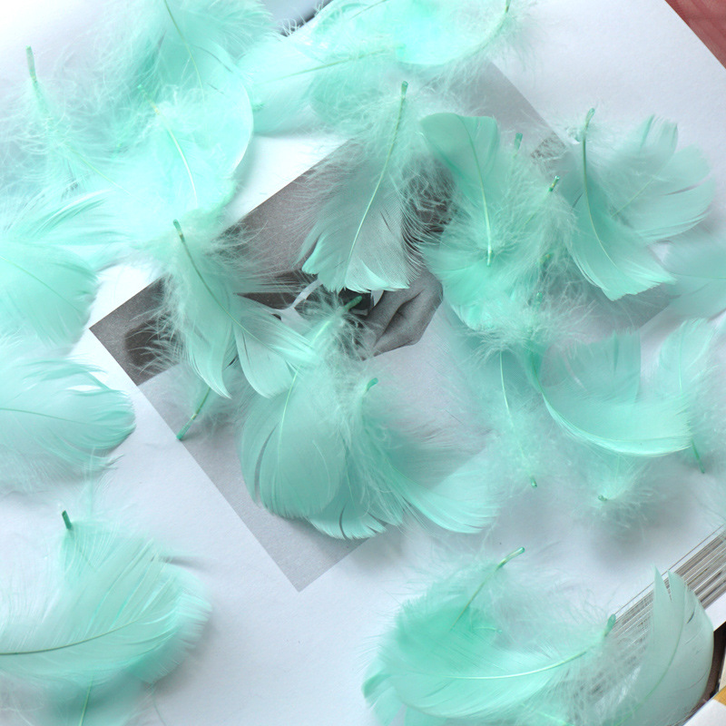 马卡龙彩色小羽毛小飘鹅毛婚礼节日活动舞台装饰礼盒填充材料批发详情20