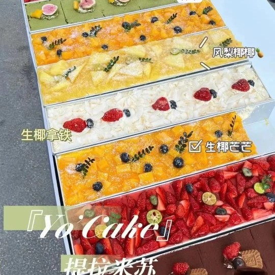 网红提拉米苏模具不锈钢中式商用慕斯芝士蛋糕胚摆摊烘焙长条盒子 Application Scenario