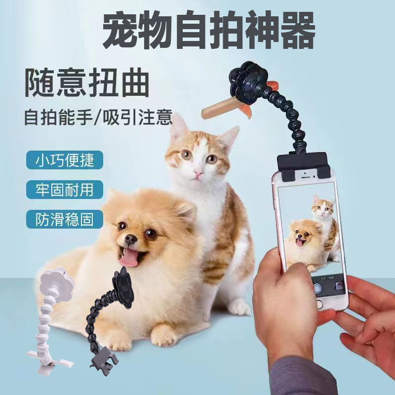 Pet toys for cats and dogs, camera viewing selfie tool, pet selfie stick, human-pet interactive toys