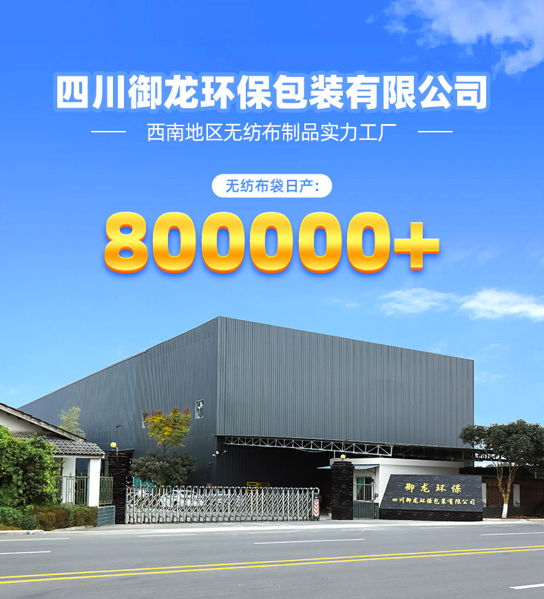 国潮2026新款马年无纺布礼品袋印刷logo年货包装覆膜手提袋批发加印详情1