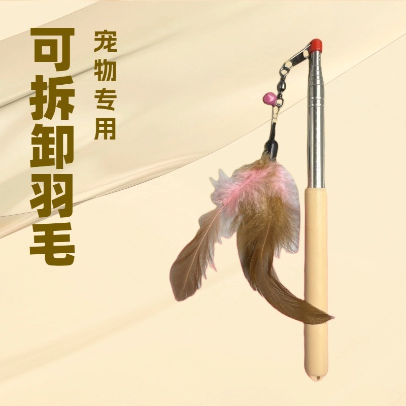 猫猫玩具实物图