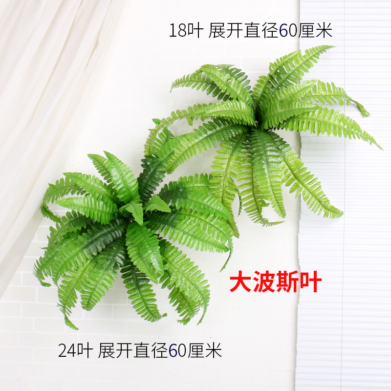 import细节图