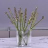 Factory direct sales of artificial green plants wholesale, artificial fern leaves, peacock fern, home banquet, homestay, wedding artificial plants, Lanjin artificial ferns Specification image