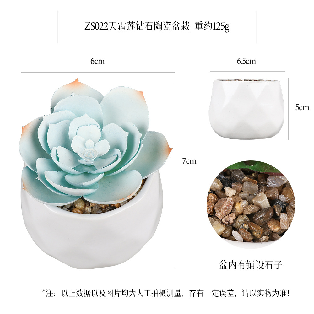 Amazon Simulation Succulent Ceramic Pot 6-piece Home Decoration simulation plant succulent bonsai set Item Picture