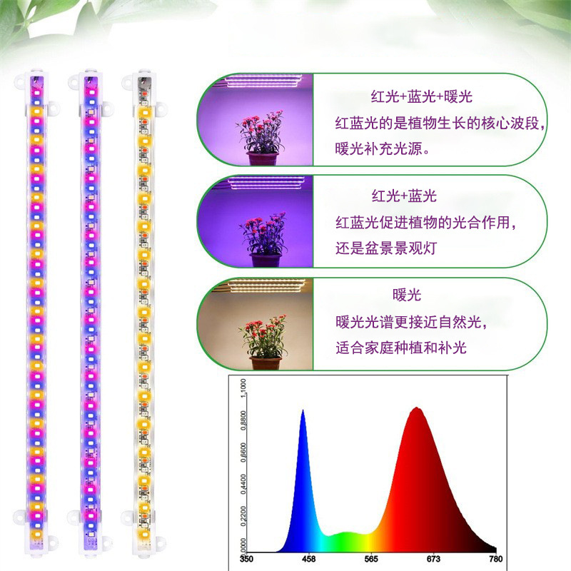 import白底实物图