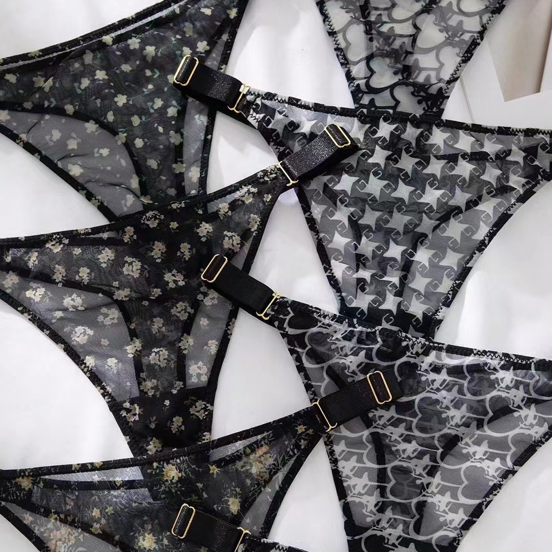 Wholesale of cross-border European and American style sexy printed mesh women's European-sized briefs that tempt women Application Scenario
