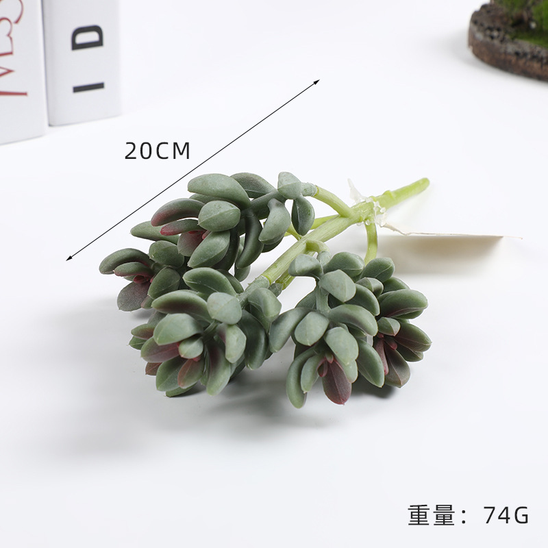 New Simulation Plastic Fleshy Lifelike Feel Flower Arrangement Fleshy Gardening Decoration Fleshy Green Plant Multi-Head Combination Wholesale Application Scenario
