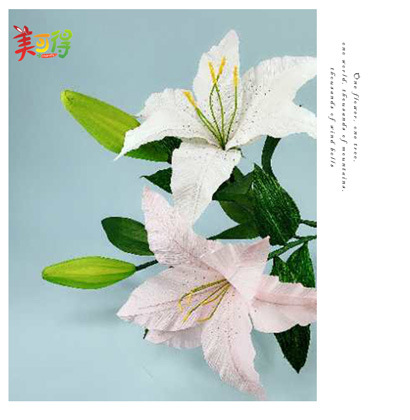 皱纹纸（已改普惠）_16.jpg