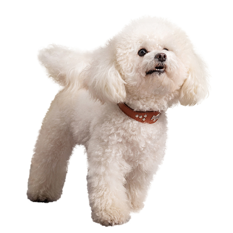 Pet Collar Manufacturers Direct Sales Pet Collar Leather Collar Dog Collar Dog Supplies Dog Collar Pet Supplies details Picture