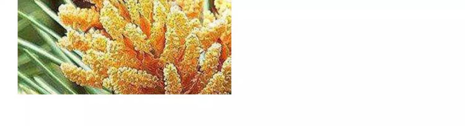 医儿乐婴儿爽身粉大容量爽肤抑菌去痱防淹宝宝热痱粉儿童专用批发详情13