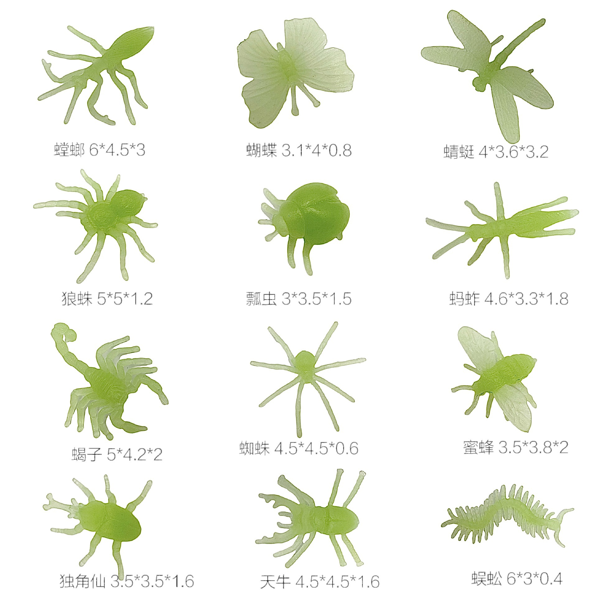 外贸新款仿真昆虫 12款PVC真实昆虫模型蝎子蜘蛛蝴蝶沙盘摆件批发详情6