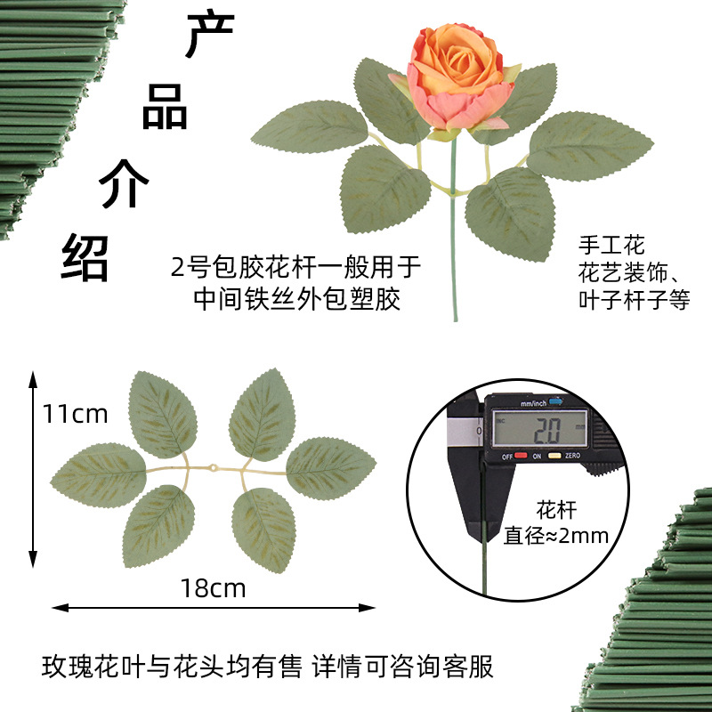仿真植物实物图