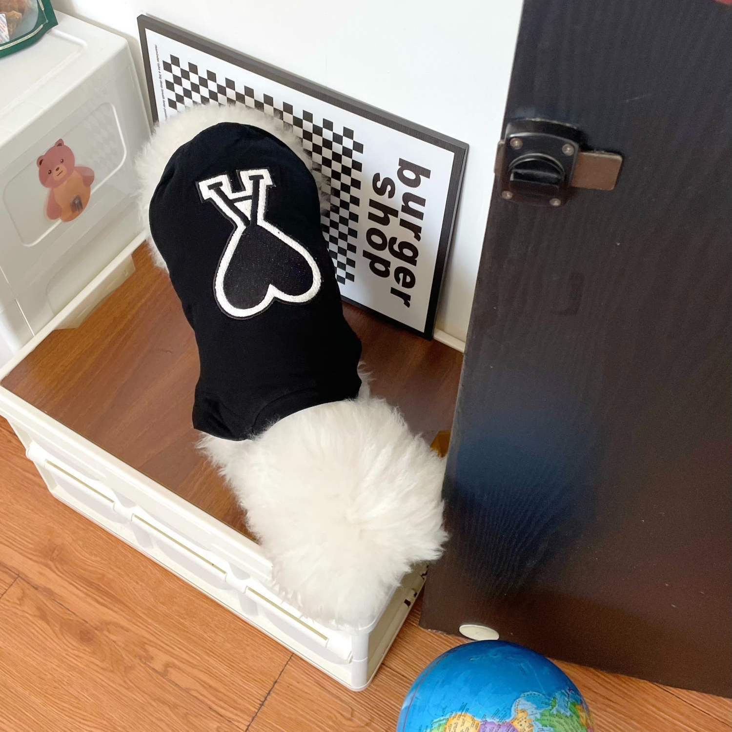 狗狗服装实物图