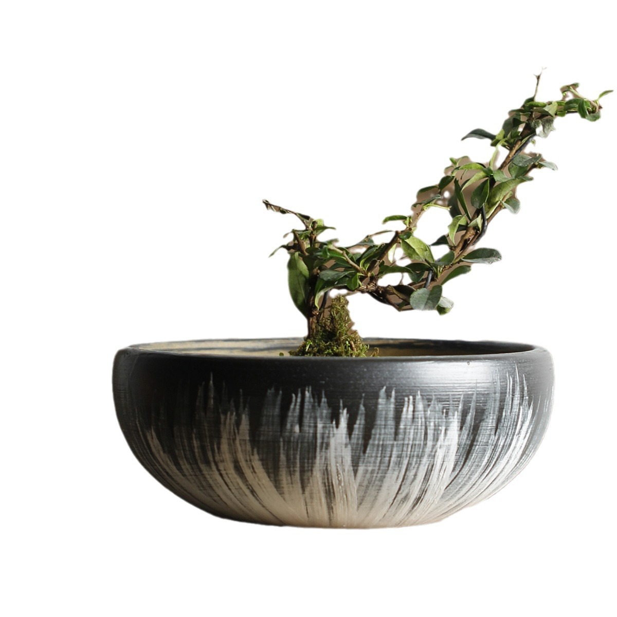 Jingdezhen Rough Pottery Platter Succulent Pot Green Plant Flowers Ceramic Ground Potted Desktop Retro Large Classical Beauty Item Picture