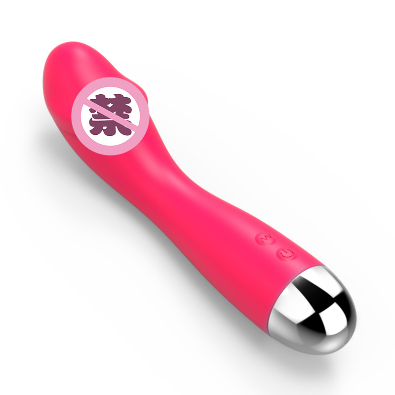 Silicone charging vibrator female multi-frequency vibration massage female masturbation equipment sex toys details Picture