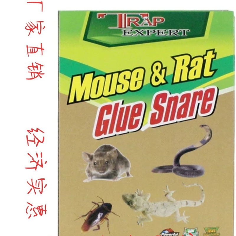 15 粘鼠板 超强力灭鼠贴 驱鼠贴抓老鼠夹捕鼠器粘老鼠胶家用随机
