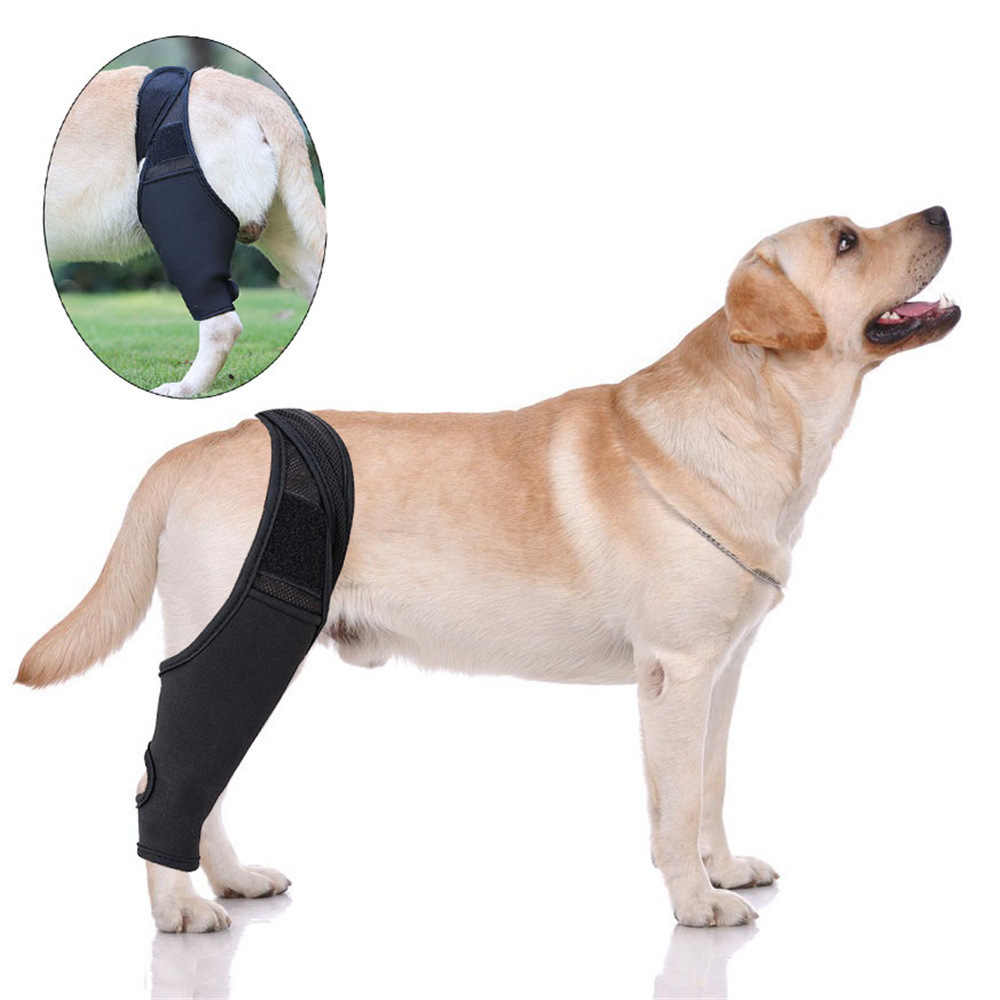 狗狗大腿保护套关节护膝护腿无力受伤保护术后康复支架固定腿绑带