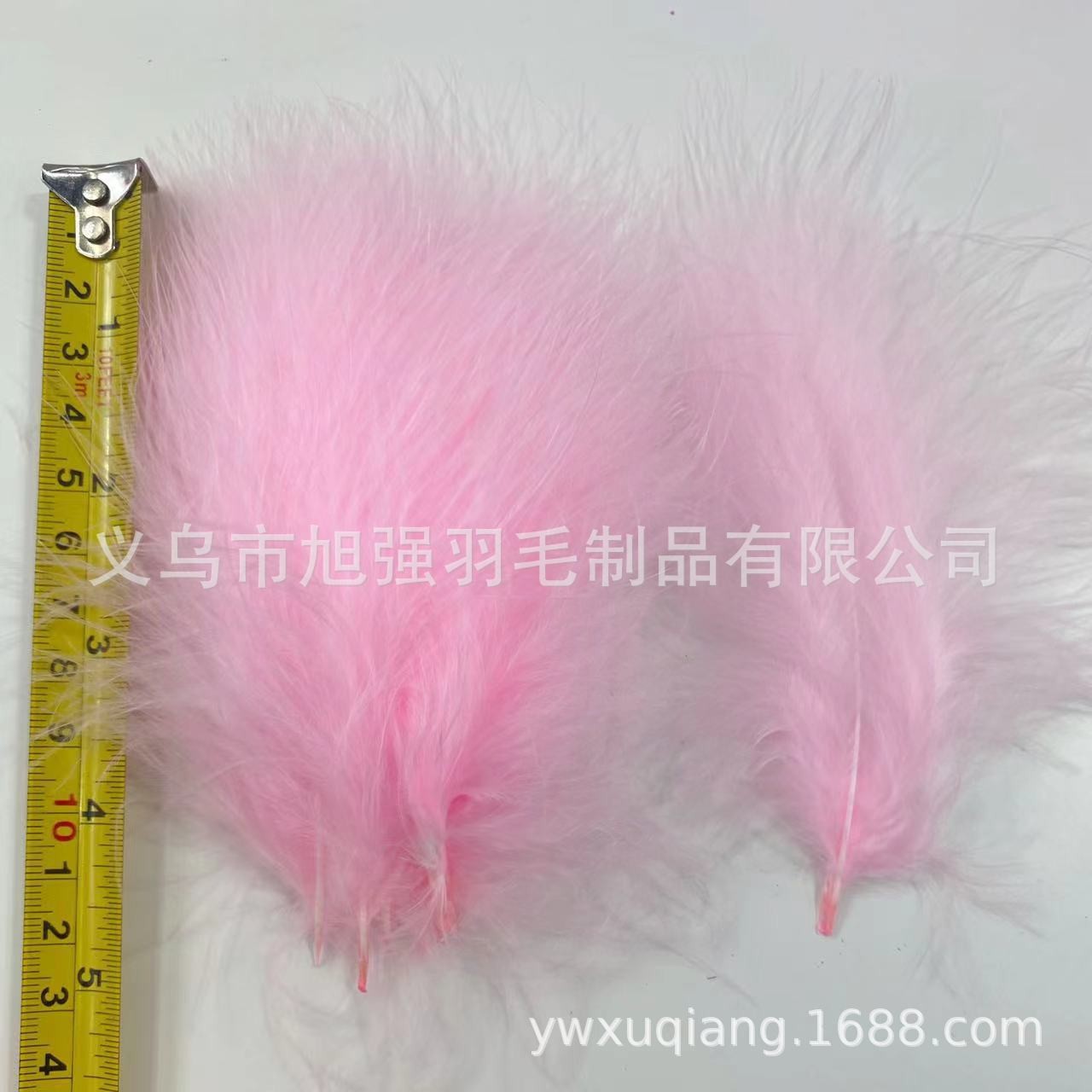 厂家供应火鸡/羽毛/孔雀毛白底实物图