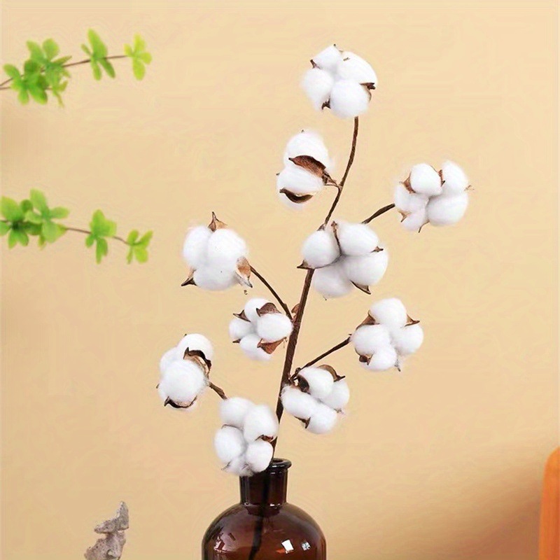Natural dried cotton, handcrafted single-head cotton, Christmas decoration materials, and Yunnan kapok flower bouquets are selling well across borders Specification image