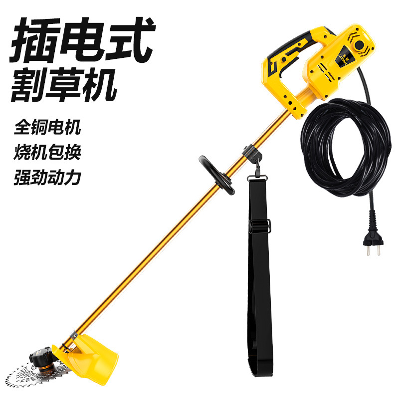 import白底实物图