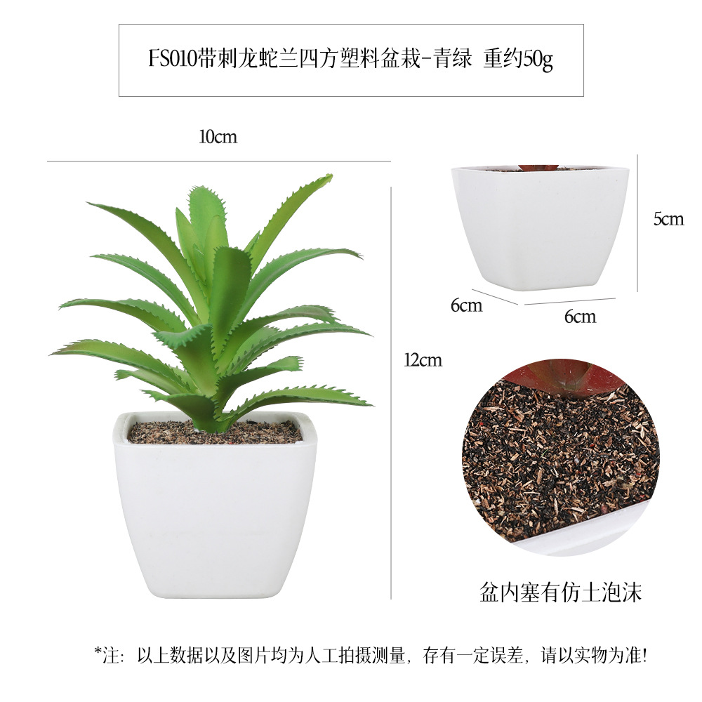 Amazon Succulent square plastic pot 6-piece home decoration plant succulent bonsai set Item Picture