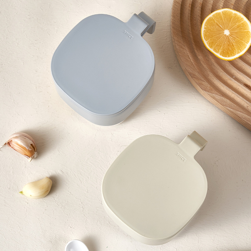 High Quality Kitchen Seasoning Box Home Double Compartment Large Capacity High Appearance Level Seasoning Pot Delivery Spoon Color Matching Fashion Belt Handle Application Scenario
