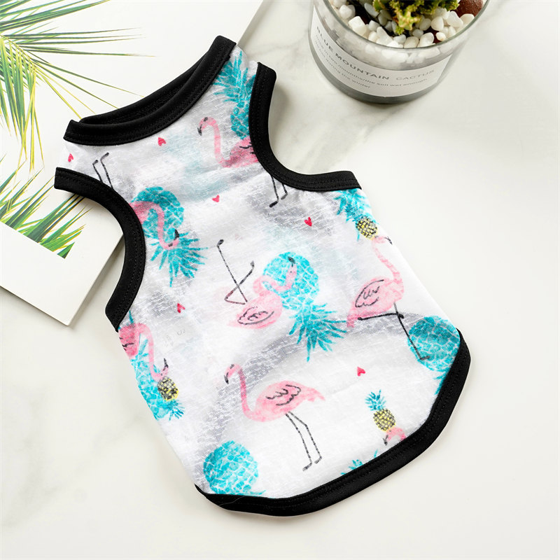 狗狗服装实物图