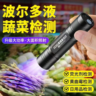 Vegetable Bordeaux Liquid Blue Alum Detection Pen 365Nm Flashlight Fluorescent Agent Uv Light Identification Special