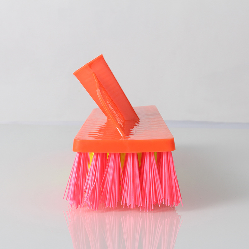 其他分类实物图