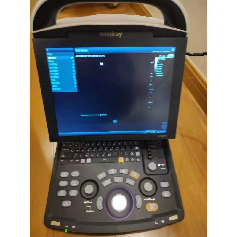 邁瑞醫(yī)用B超機DP-10全數(shù)字便捷式黑白超聲診斷系統(tǒng)搭配腹部探頭細(xì)節(jié)圖