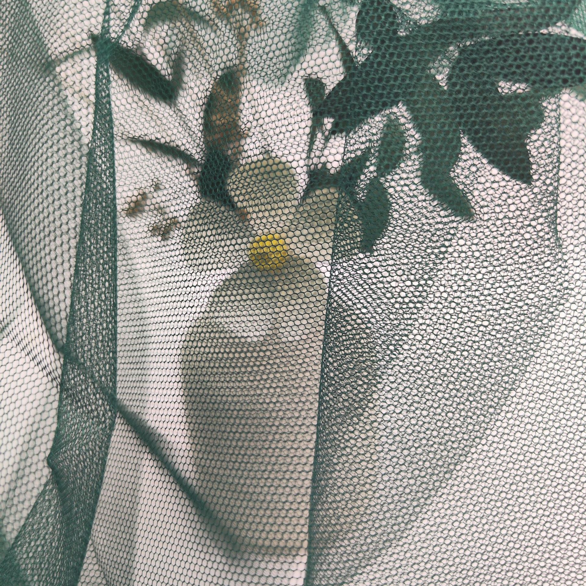 Mesh Fabric Full Polyester Backcloth Hexagonal Mesh Fabric Mosquito Net Fabric Wedding Dress Embroidery Mesh Fabric For Children Gauze Gauze Skirt Fabric details Picture