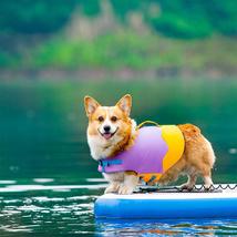跨境狗狗游泳衣宠物救生衣浮力玩水漂流衣服波浪泳衣胸背柯基