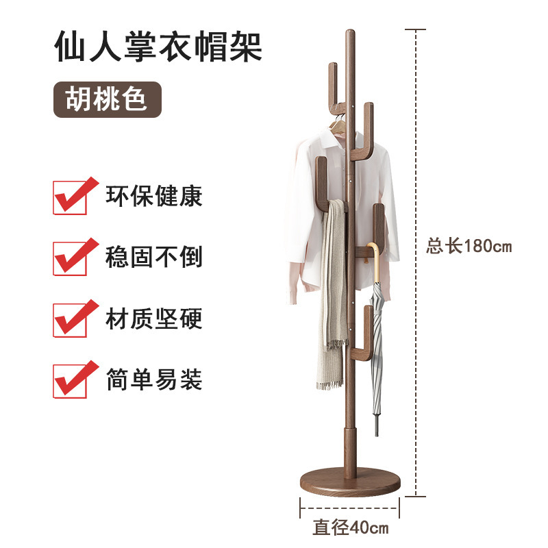 仙人掌衣架卧白底实物图