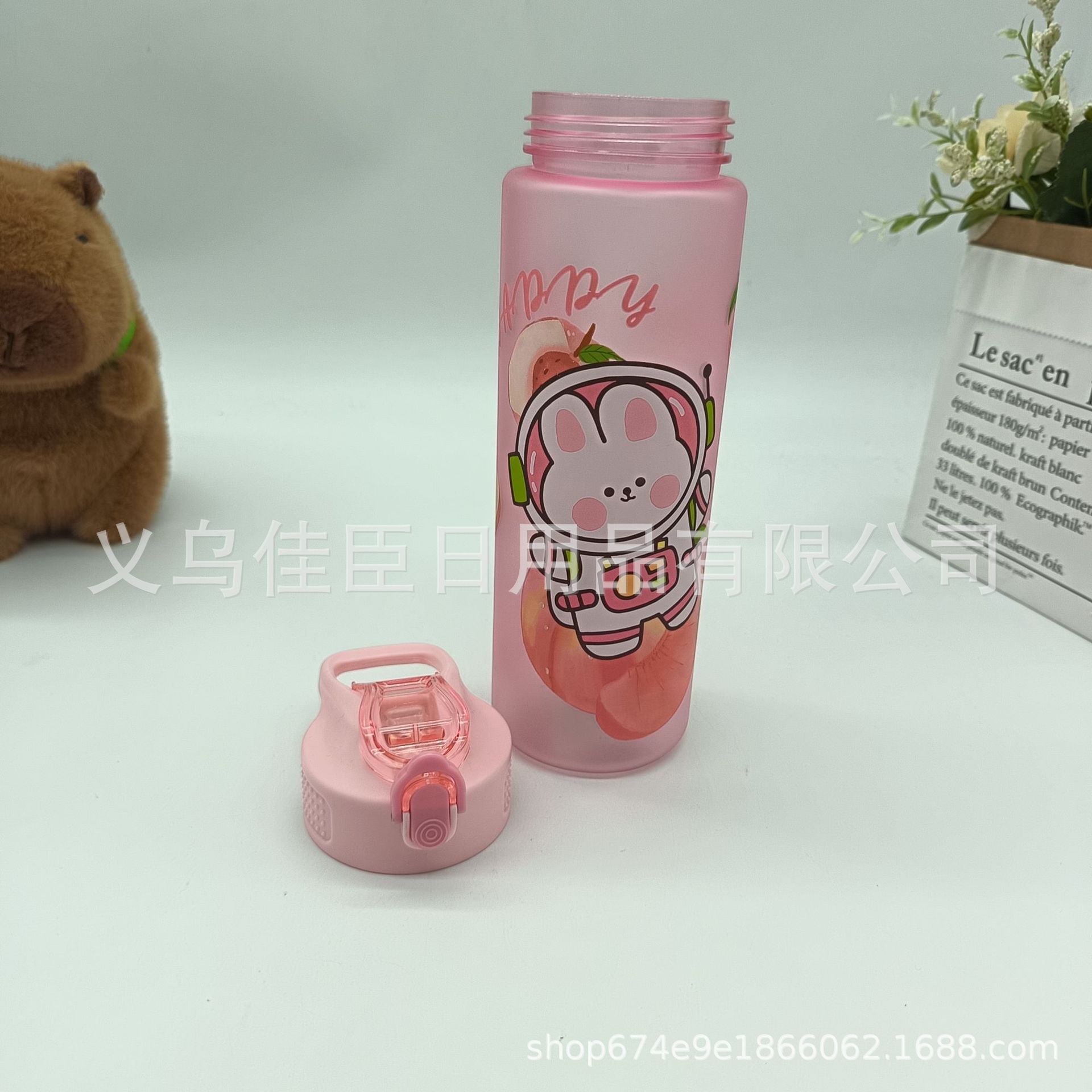 Amazon's new summer frosted, blank, cute animal and fruit pattern series of children's and students' sports water bottles Application Scenario