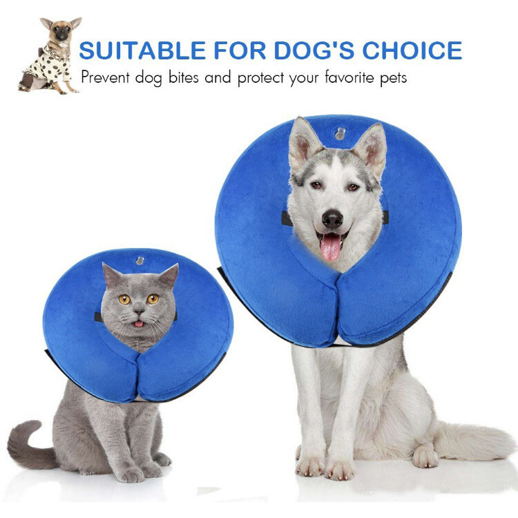 狗链/狗绳/宠物用品/狗狗狗狗用品/宠物细节图