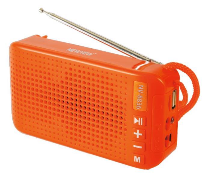 Portable Solar Antenna /Fm/Usb/Tf Card /Tws Bluetooth Speaker With Flashlight Nv-8836 Application Scenario