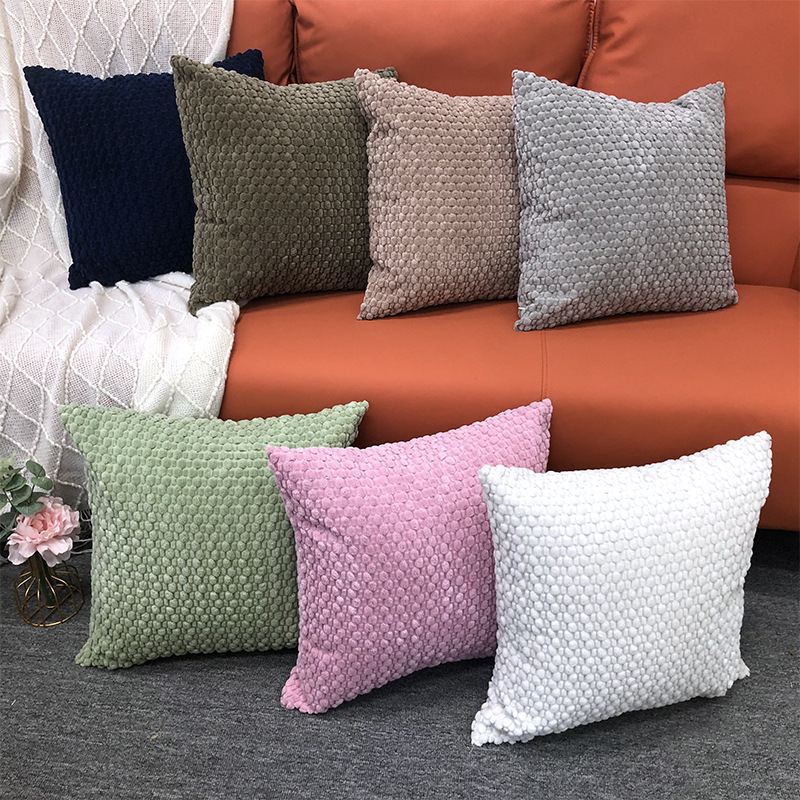 import白底实物图