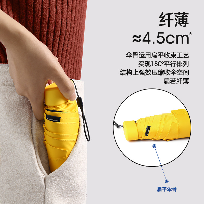 其他宠物周边用品实物图