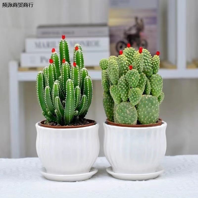 开花聚财山仙细节图